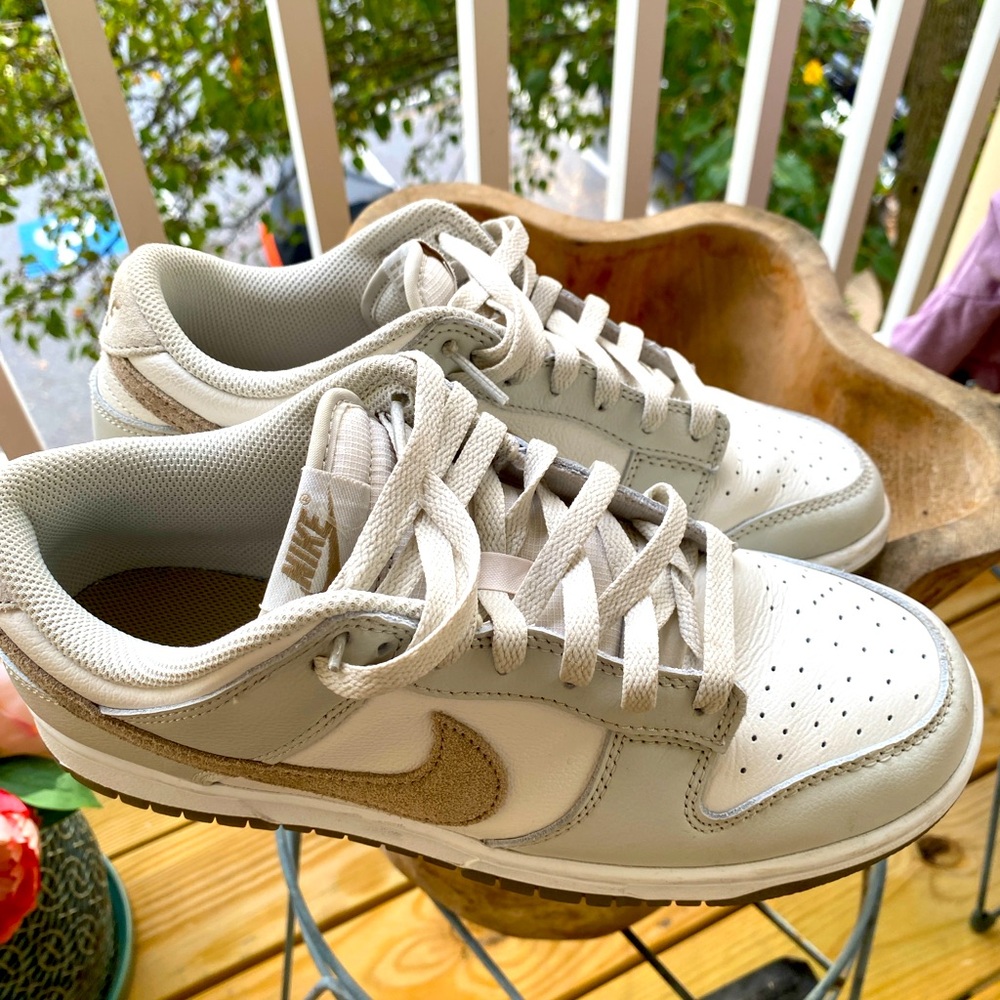Nike Dunks all around sneaker.
